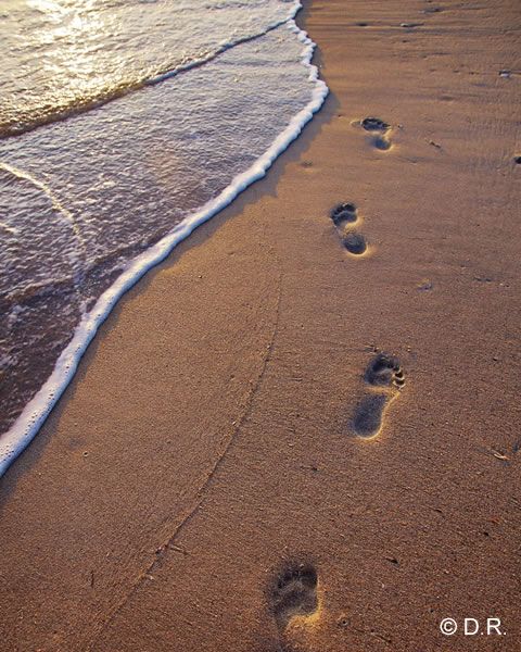 traces-pas-sur-sable-freely