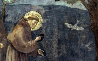 Saint François d’Assise, précurseur de l’écologie